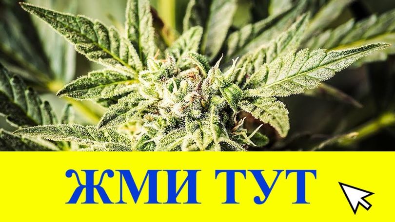 Купить наркотики в Томске